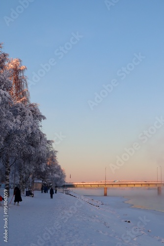 Bridge in Winter Wonderland