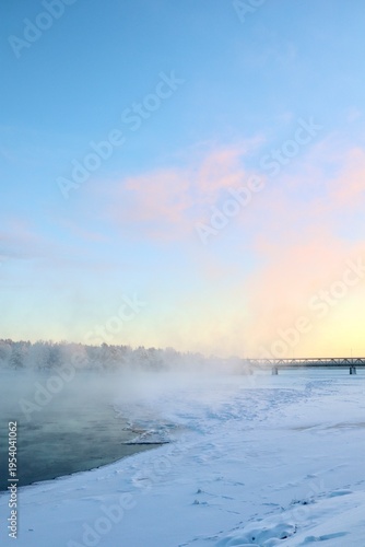 Bridge in Winter Wonderland