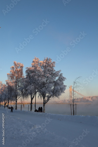 Winter Wonderland