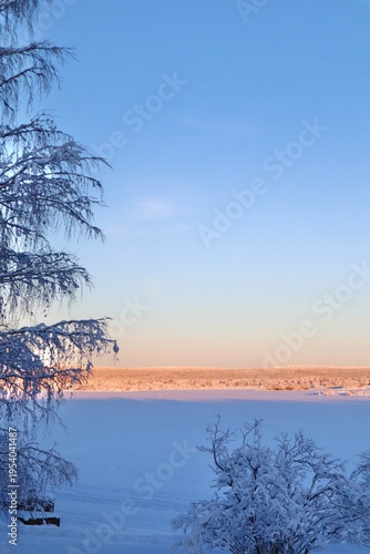 Winter Wonderland