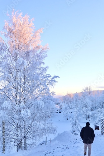 Winter Wonderland