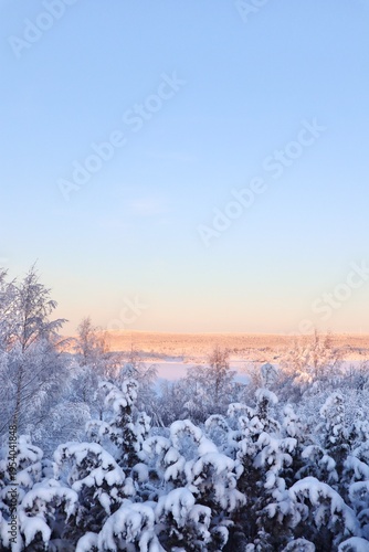 Winter Wonderland