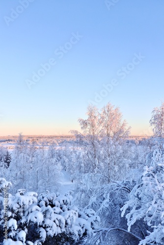 Winter Wonderland