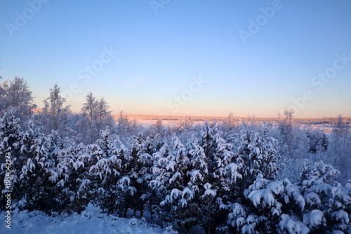 Winter Wonderland