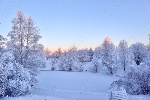Winter Wonderland