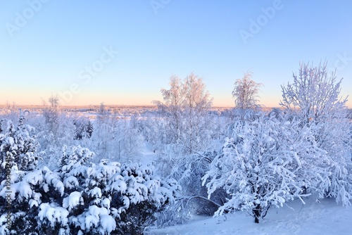 Winter Wonderland