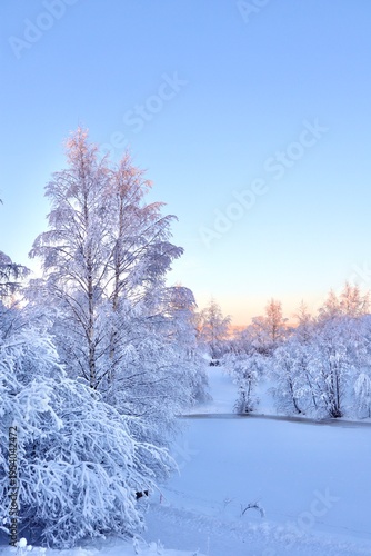 Winter Wonderland