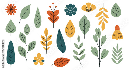 A vibrant collection of various autumn leaves and foliage in different shapes and colors