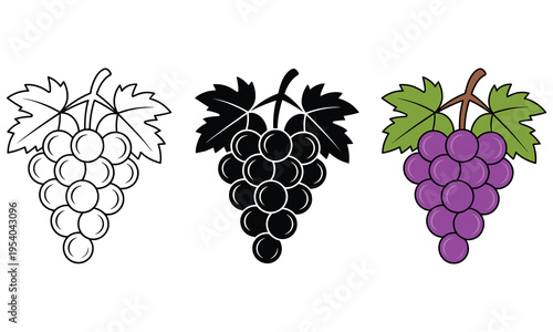Obraz na plátně Vector graphic illustration of a bunch of grapes in different styles and colors