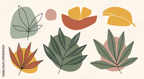 A vibrant collection of various types of succulent plants and cacti in different shapes and colors