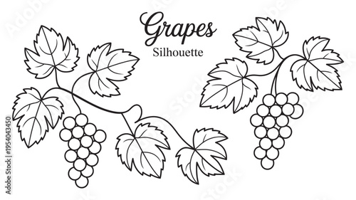 A stylized black and white illustration of grape clusters with elegant leaves and "Grapes Silhouette" text.