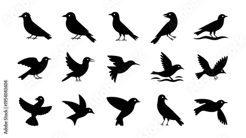 An extensive collection of fifteen varied black bird silhouettes captured in different flight and resting postures.