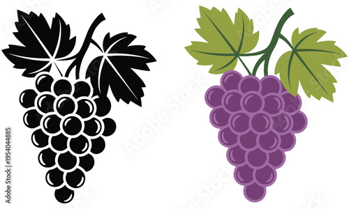Vector graphic illustration of a bunch of grapes with leaves in two color variations