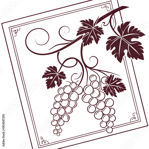Grapevine Illustration Vector

