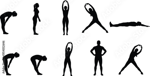 Black silhouette of a single branch with diverse leaves isolated on white background for nature, botanical, and organic environment concept