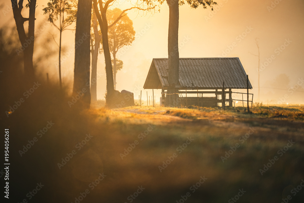 Fototapeta premium Rural sunrise wooden hut countryside morning fog tranquil nature landscape peaceful sunlight tree grass field rustic outdoor shelter serene dawn agriculture farm environment scenic meadow calm