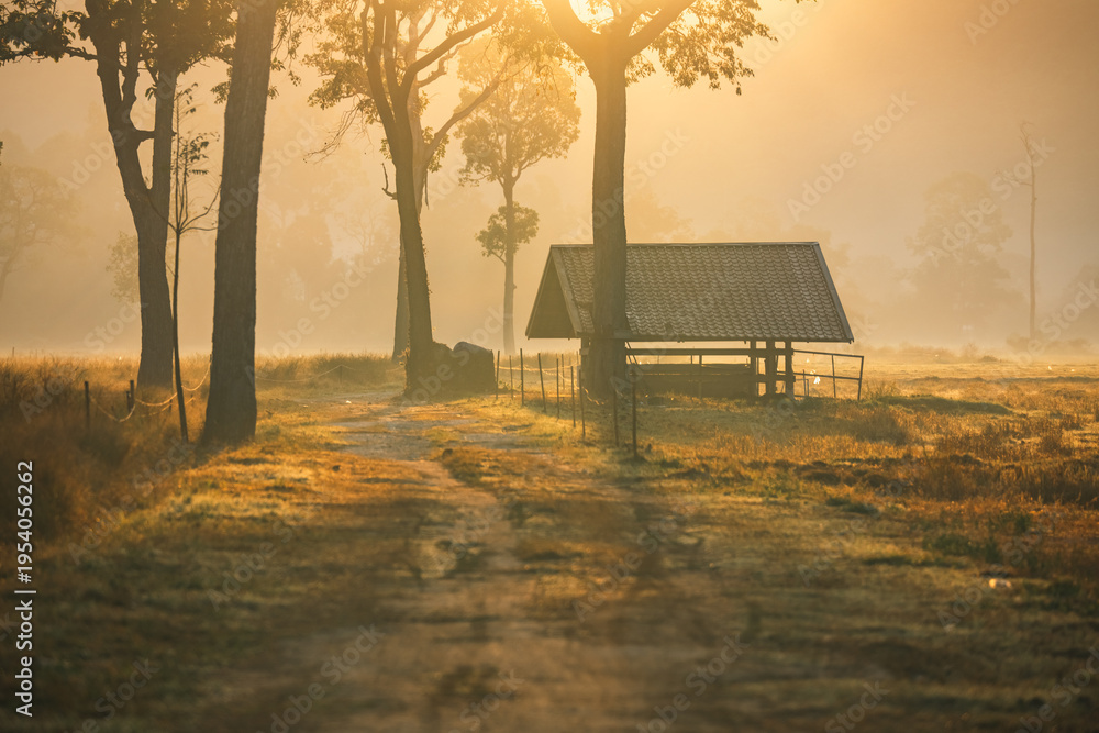 Obraz premium Sunset countryside landscape with rural field and small house peaceful nature golden light misty morning calm environment hope tranquility scenic farmland outdoor lifestyle