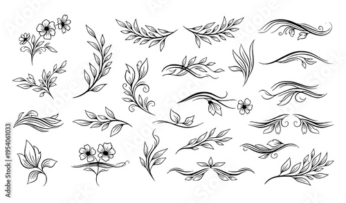 Calligraphic botanical silhouette floral set with elegant branches wildflowers for invitation design