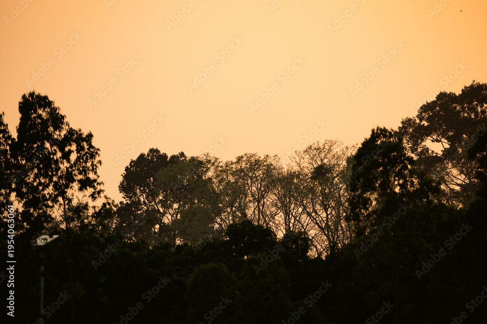 Fototapeta premium Sunset countryside landscape with rural field and small house peaceful nature golden light misty morning calm environment hope tranquility scenic farmland outdoor lifestyle