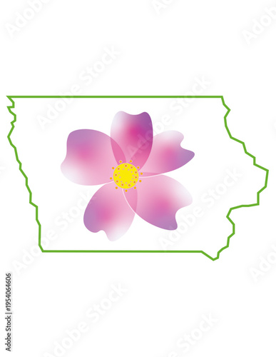 State of Iowa Wildflower Wild Rose