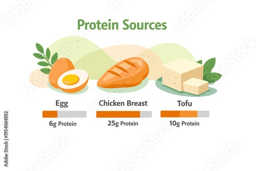 Healthy Protein Sources Egg Chicken Breast Tofu Illustration.