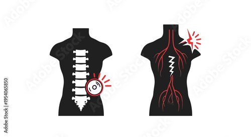 Human body with back and nerve pain.