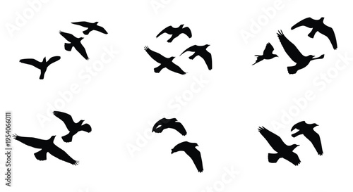 A flock of silhouetted birds in flight against a plain white background