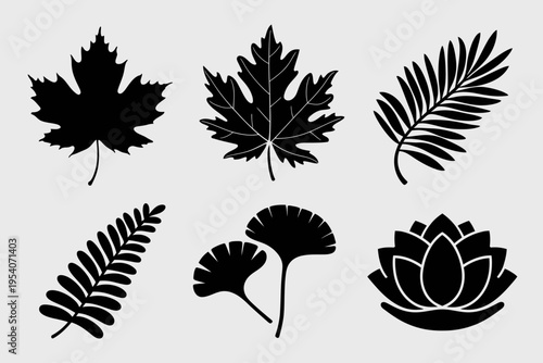 A collection of six distinct black silhouette icons representing various botanical leaf varieties isolated on white background, Vector, illustration