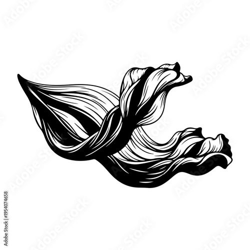 Dynamic abstract black and white illustration depicting graceful flowing fabric or organic ribbons, a versatile design element for elegant modern visuals