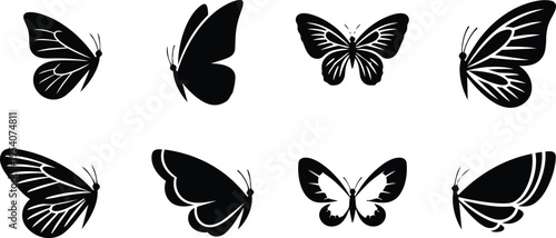 Assorted Butterfly Silhouettes and Wing Patterns