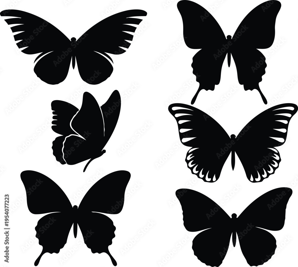 Fototapeta premium Diverse Butterfly Silhouette Collection