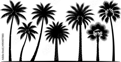 Black palm trees set isolated on white background featuring tropical palm silhouettes in various shapes and sizes. Ideal for posters, banners, branding, travel themes, summer designs, and promotional 