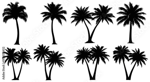 Collection of various palm tree silhouettes featuring single and paired tropical plant designs
