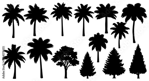 Trees black silhouette set with palm and coniferous varieties, tropical and temperate tree shapes. featuring forest