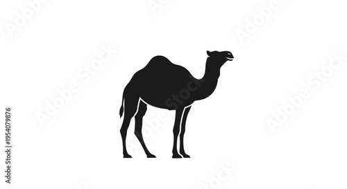 Black Silhouette of a Standing Camel.