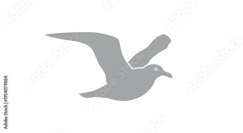 Gray Silhouette of Flying Seagull Bird.