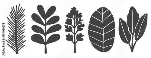 Hand Drawn Leaf Plant Silhouette Set — Botanical Herb Illustration. Woodcut Stamp Print, Vintage Ink Graphic, Folk Art Design. Black Monochrome Flat Sketch, Lino Cut Style, Tropical Foliage Bundle
