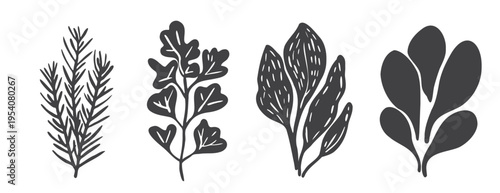 Botanical collection of herb and leaf silhouettes, minimalist black and white woodcut ink print with organic sage and rosemary, vintage lino cut style, mediterranean aromatic plant sprigs set