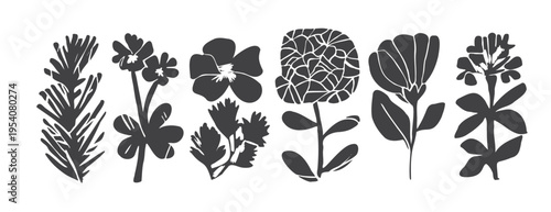 Hand Drawn Flower Leaf Silhouette Set — Botanical Herb Floral Illustration. Linocut Woodcut Print, Vintage Folk Art Graphic Design. Wild Blossom Collection: Poppy, Clover, Peony, Meadow Plant Stamp