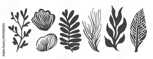 Hand Drawn Seaweed Algae Silhouette Set — Botanical Marine Illustration. Woodcut Lino Print, Vintage Ink Stamp, Folk Art Graphic. Black Monochrome Coastal Plant Collection, Shell Kelp Aquatic Design
