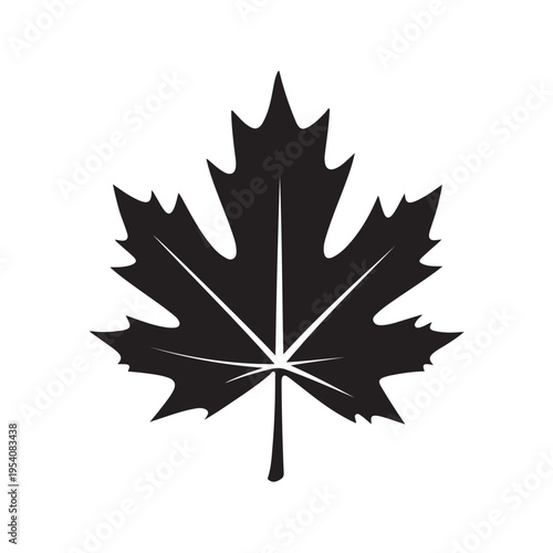 canadian maple leaf silhouette white background vector illustration