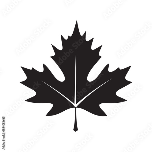 canadian maple leaf silhouette white background vector illustration