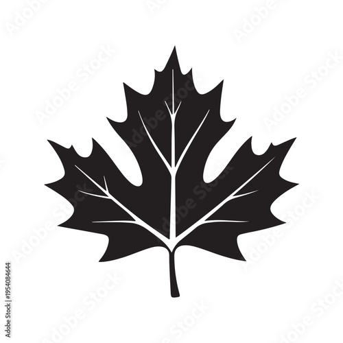 canadian maple leaf silhouette white background vector illustration