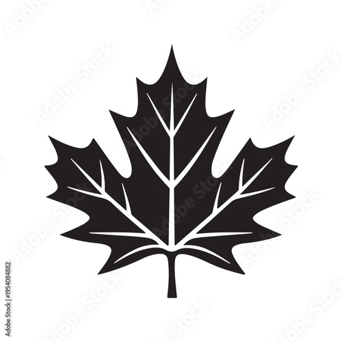 canadian maple leaf silhouette white background vector illustration