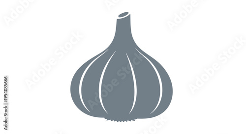 Gray Garlic Illustration on White Background.