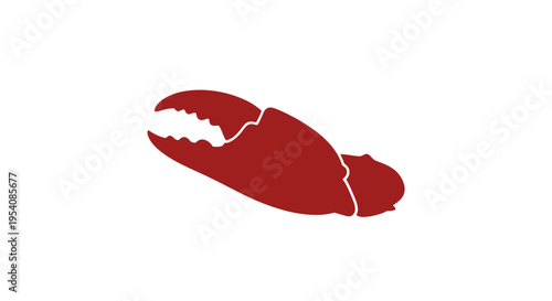 Red Lobster Claw with Cracked Shell.