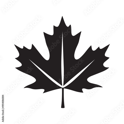 canadian maple leaf silhouette white background vector illustration