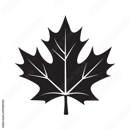 canadian maple leaf silhouette white background vector illustration