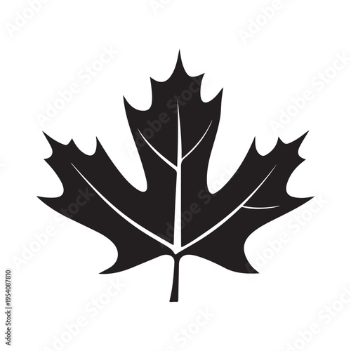 canadian maple leaf silhouette white background vector illustration