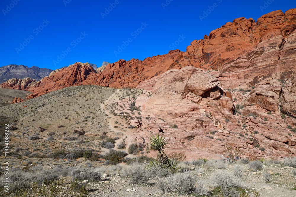 Fototapeta premium Red Rock Canyon, Nevada, USA 